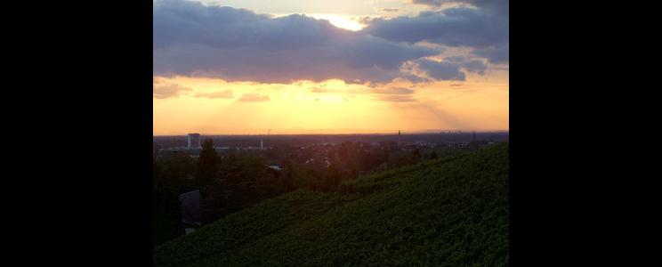 Schloss Ortenberg