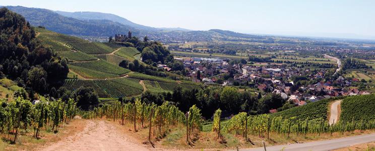 Schloss Ortenberg