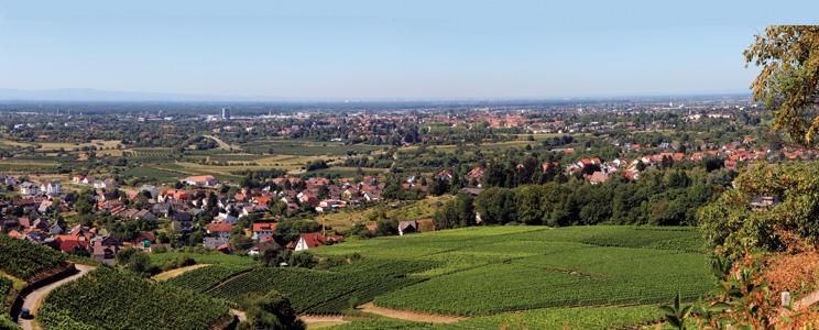 Schloss Ortenberg