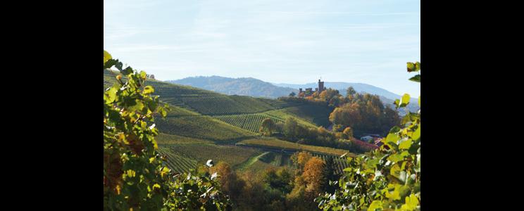 Schloss Ortenberg