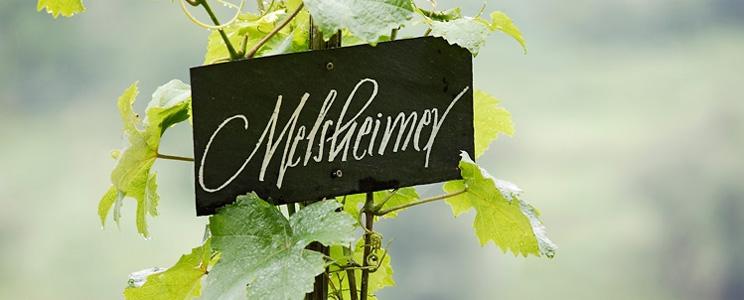 Melsheimer