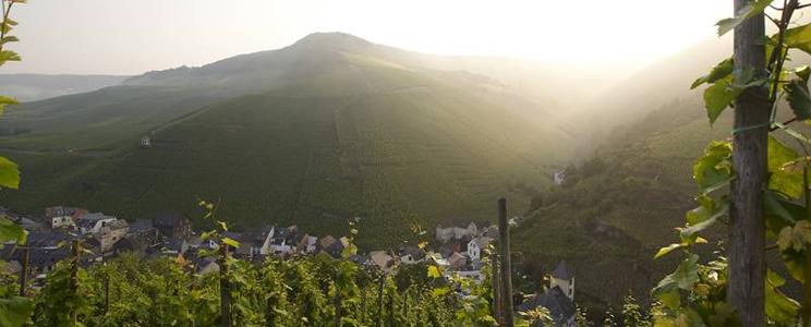 Wegeler - Bernkastel
