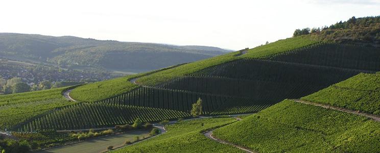 Bickel-Stumpf