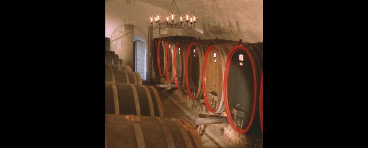 Fischborn-Schenk