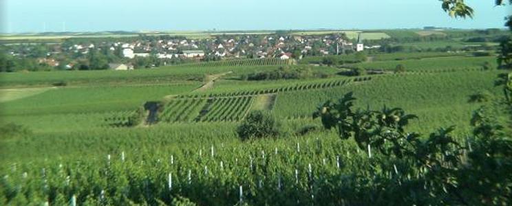 Groebe
