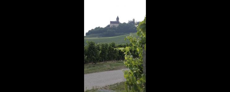 WG Dürrenzimmern-Stockheim