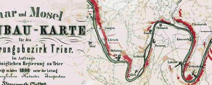 Werner (Mosel)
