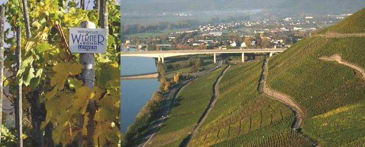 Werner (Mosel)