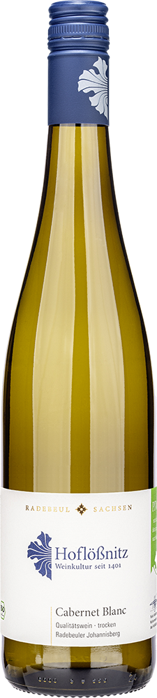 2023 Cabernet Blanc - Radebeuler Johannisberg BIO