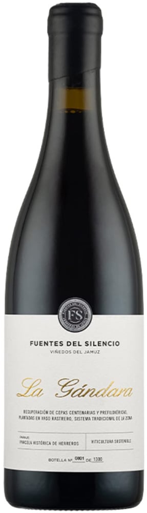 2019 Fuentes del Silencio La Gandara Castilla y León VT