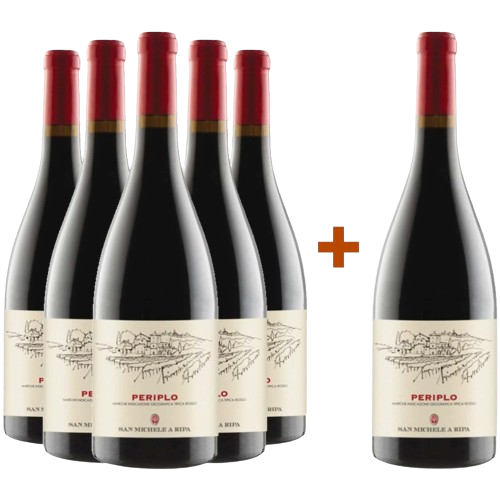 5+1 Paket Periplo Marche IGP