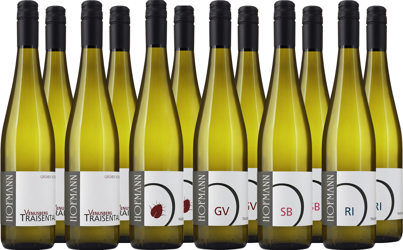 Weißwein-Kennenlern-Paket BIO