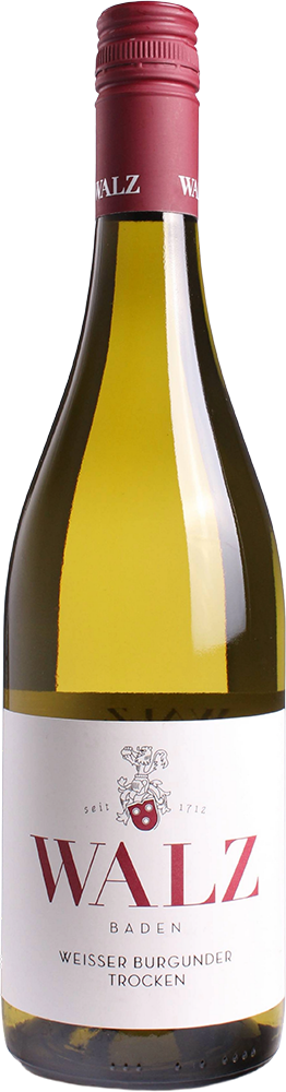 2025 Weisser Burgunder Gutswein BIO