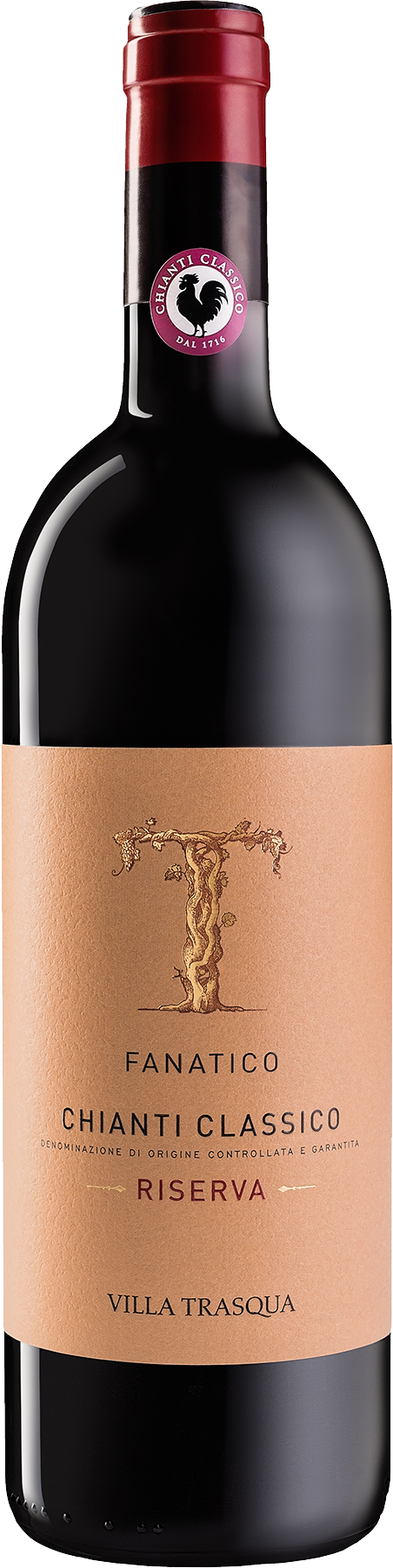 2020 Fanatico Riserva Chianti Classico DOCG BIO