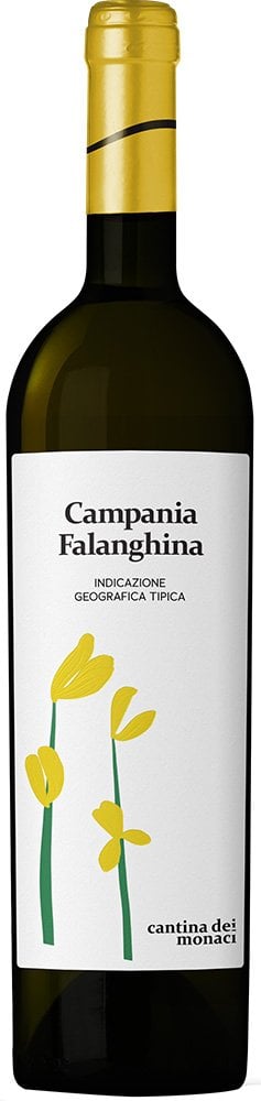 2022 Campania Falanghina IGP