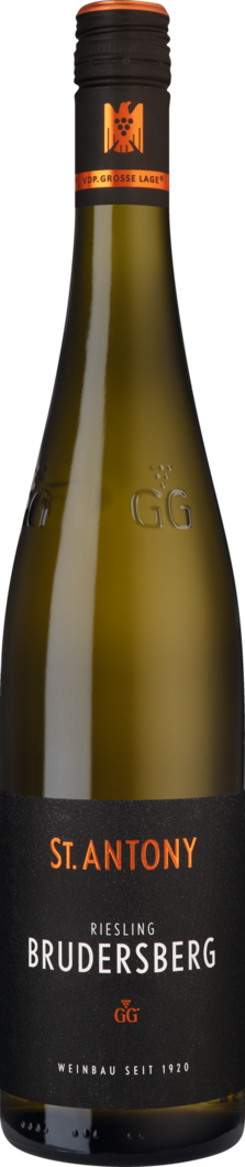 2025 Brudersberg Riesling GG BIO