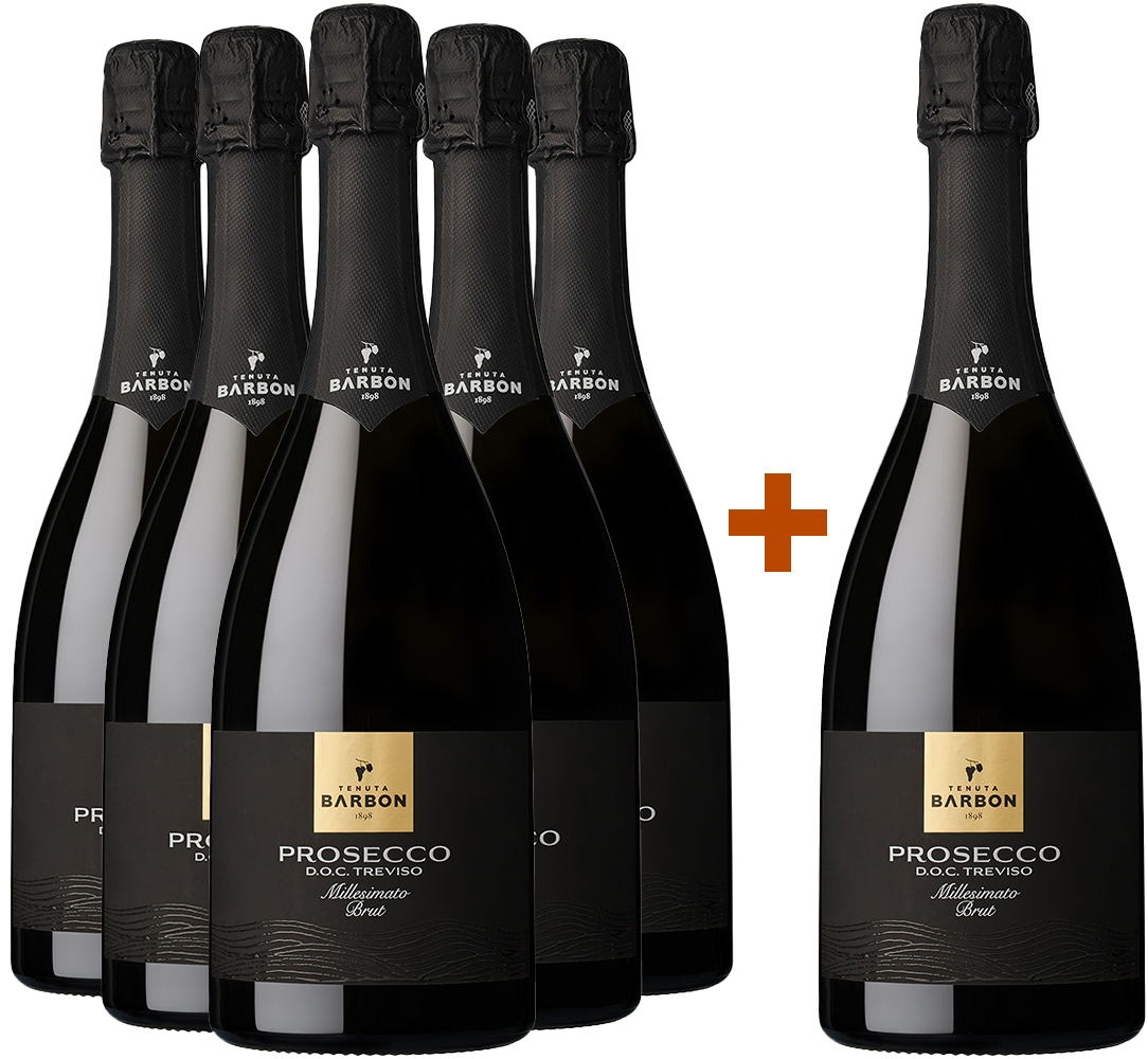 5+1 Paket Prosecco Millesimato Treviso DOC