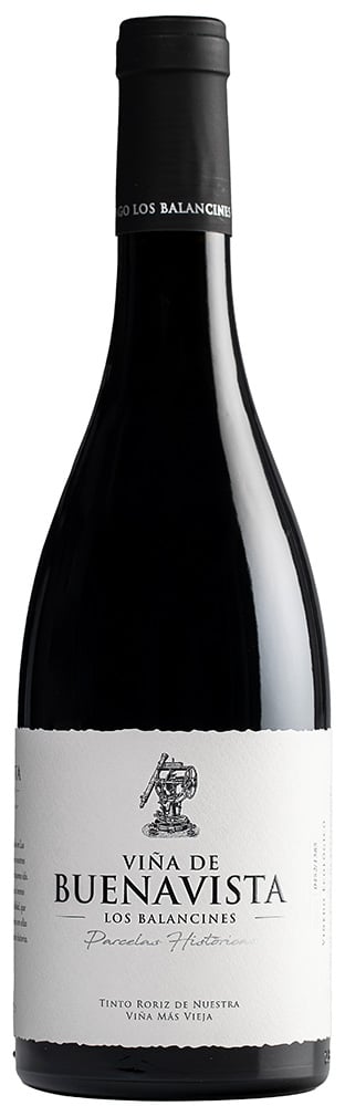 2019 P.H. Viña de Buenavista Extremadura VT