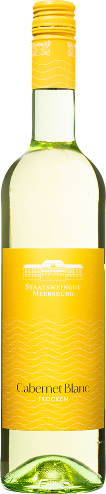 2025 Cabernet Blanc
