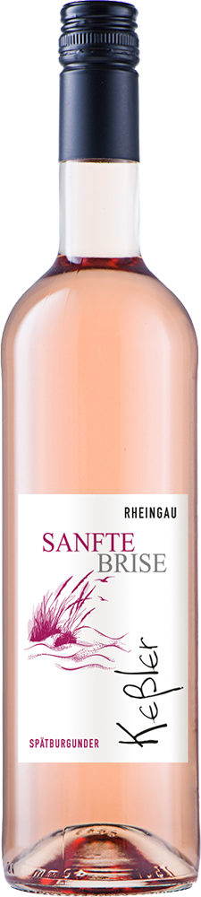 2025 SANFTE BRISE Spätburgunder Rosé Qualitätswein