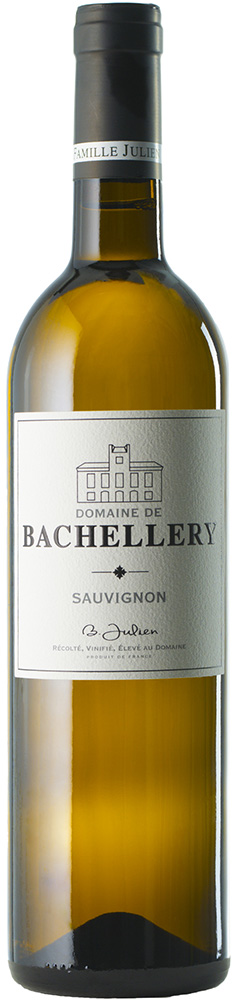 2024 Sauvignon Pays d'Oc IGP