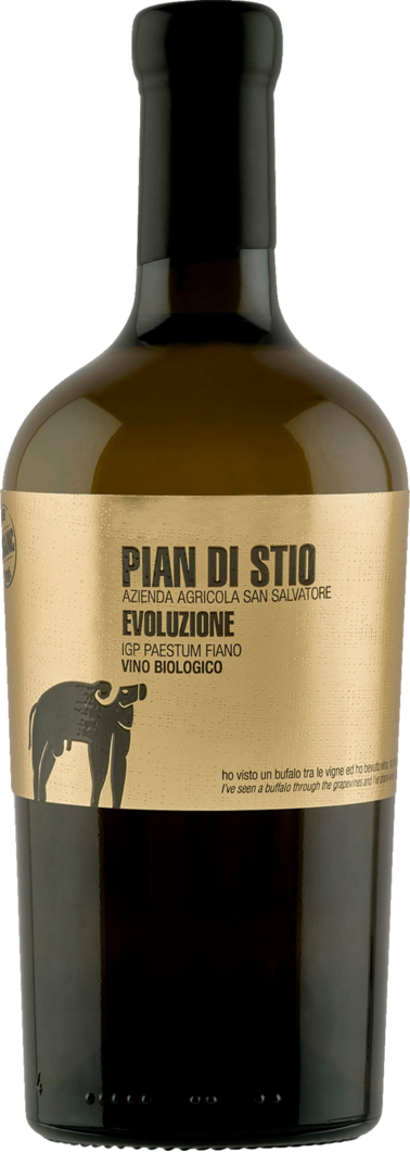 2020 San Salvatore Piani di Stio Evoluzione Fiano BIO