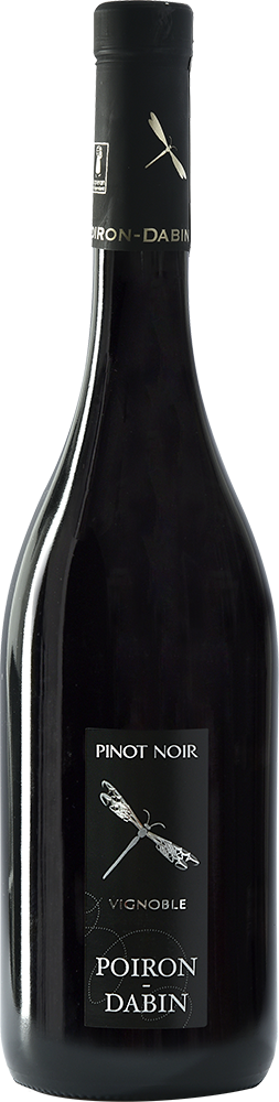 2023 Cuvée "Pinot Noir" Val de Loire IGP
