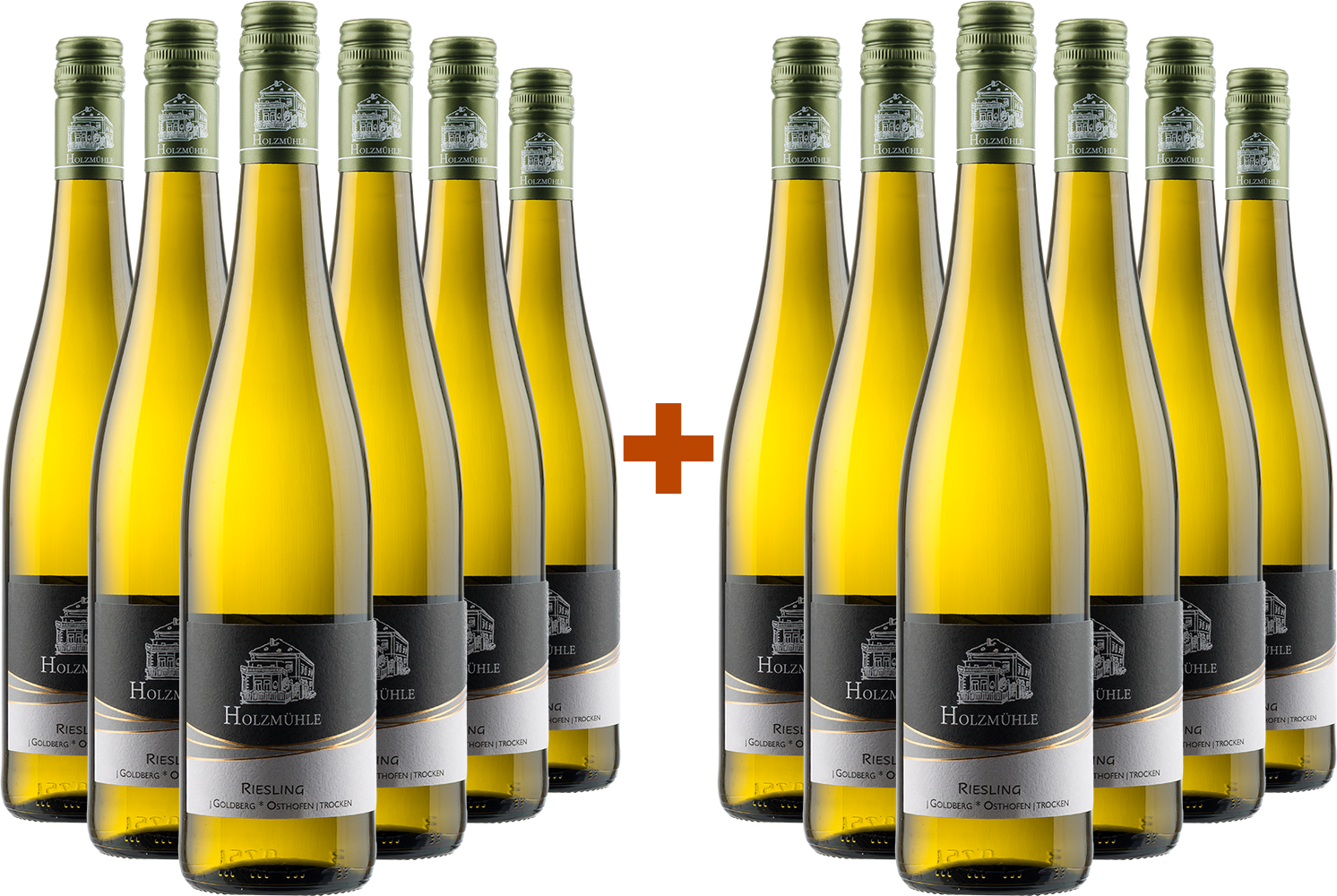6+6 Paket Goldberg Riesling