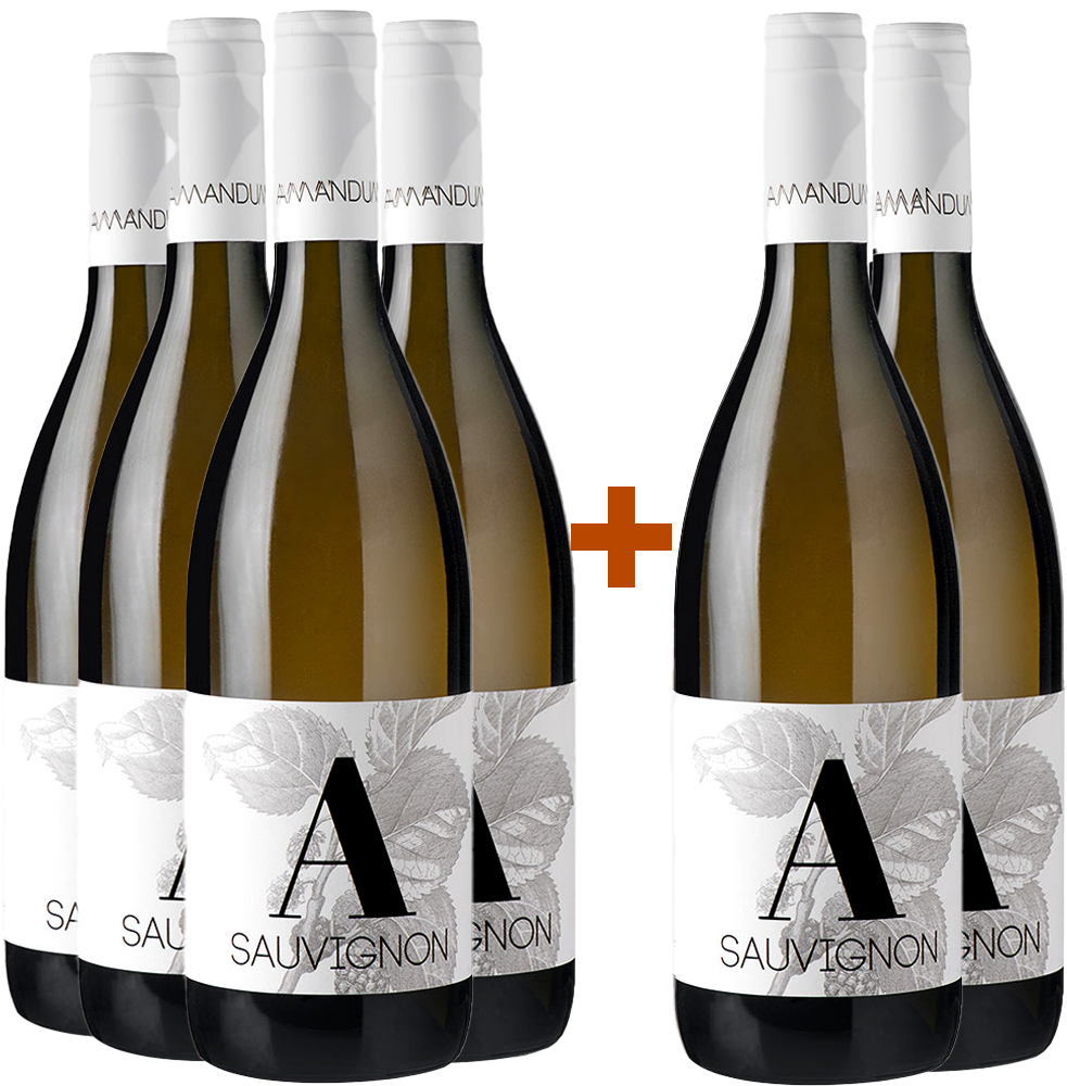 4+2 Paket Sauvignon Friuli Isonzo DOC