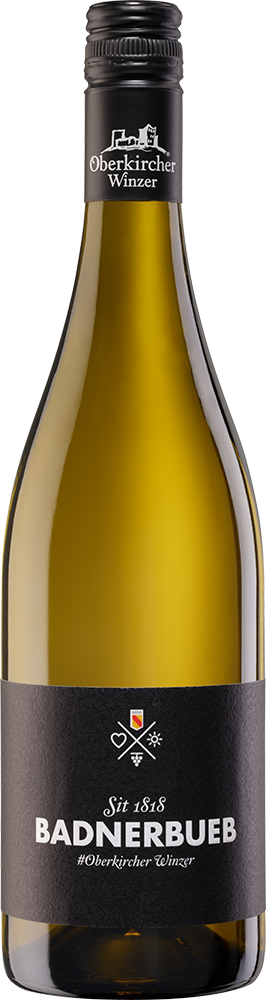 2025 BADNERBUEB Cuvée weiß