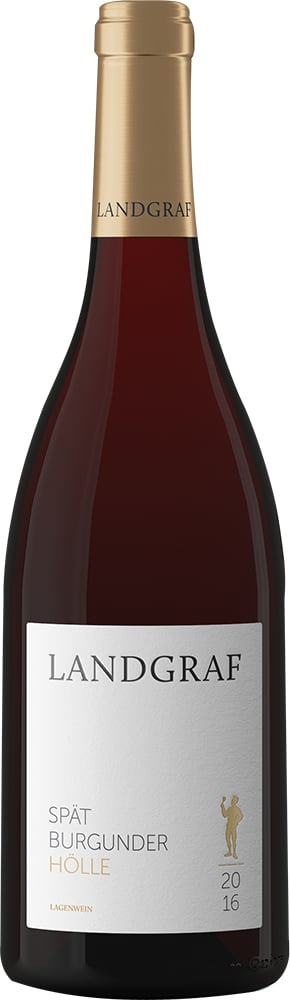 2017 Saulheimer Hölle Spätburgunder BIO