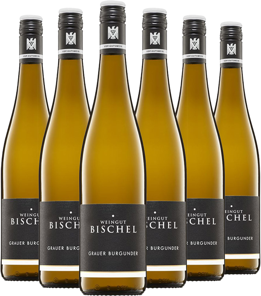 Grauburgunder VDP.Gutswein-Paket BIO