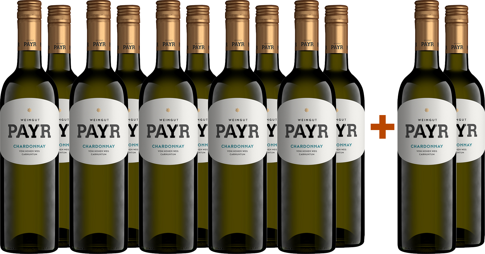 10+2 Chardonnay vom Lehm Carnuntm DAC ÖTW Gebietswein BIO BIO