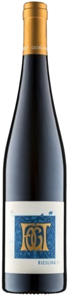 2025 SIEFERSHEIMER GOLDENES HORN Riesling