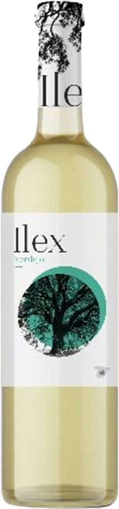 2025 Ilex Blanco Castilla VT