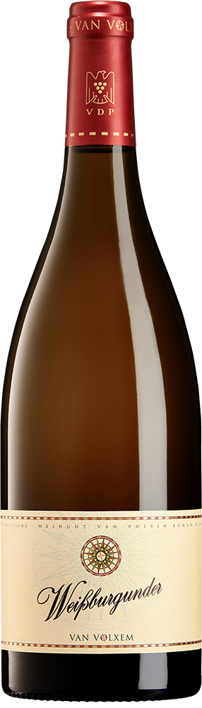 2024 Weißburgunder
