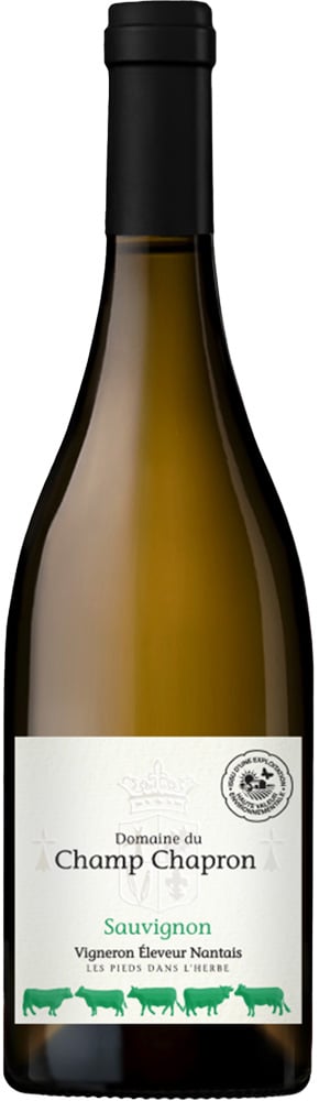 2023 Sauvignon Val de Loire IGP