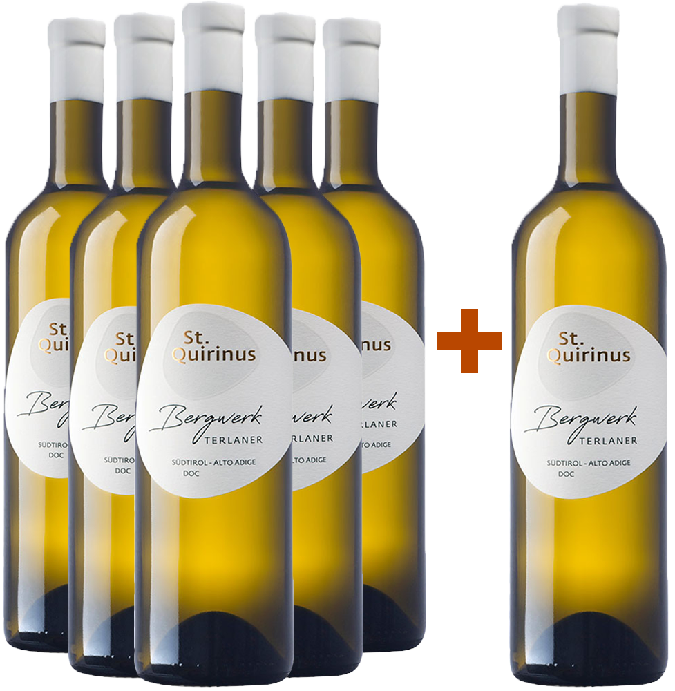 5+1 Paket Bergwerk Terlaner Classico Alto Adige DOC BIO