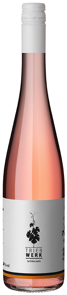 2024 TRIEBWERK Schillerwein