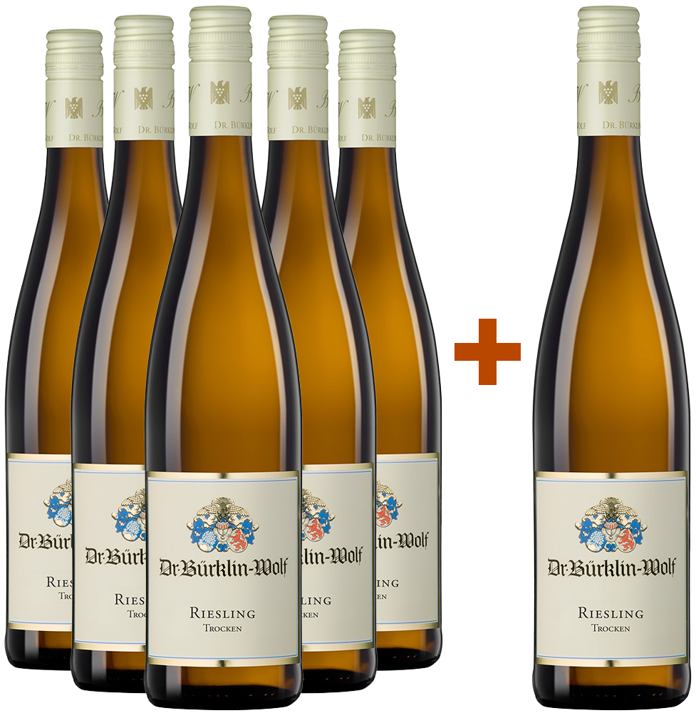 5+1 Paket Riesling BIO