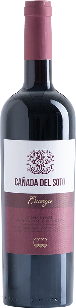 2022 Cañada del Soto Crianza Almansa DO BIO