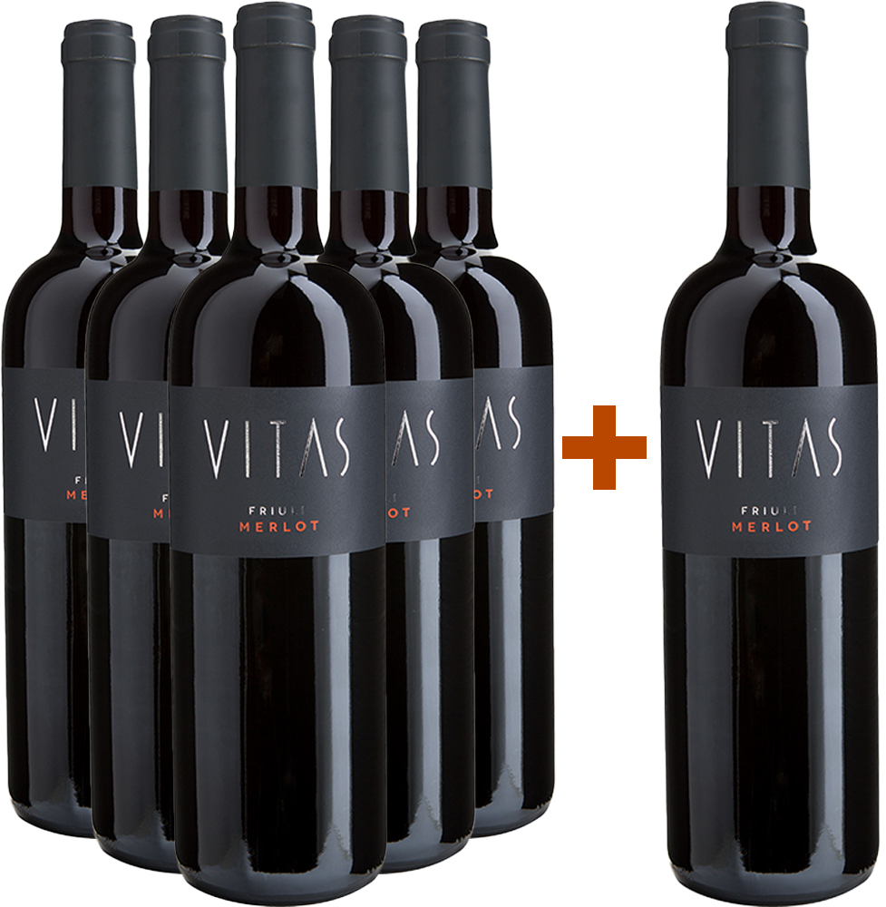 5+1 Merlot Friuli DOC