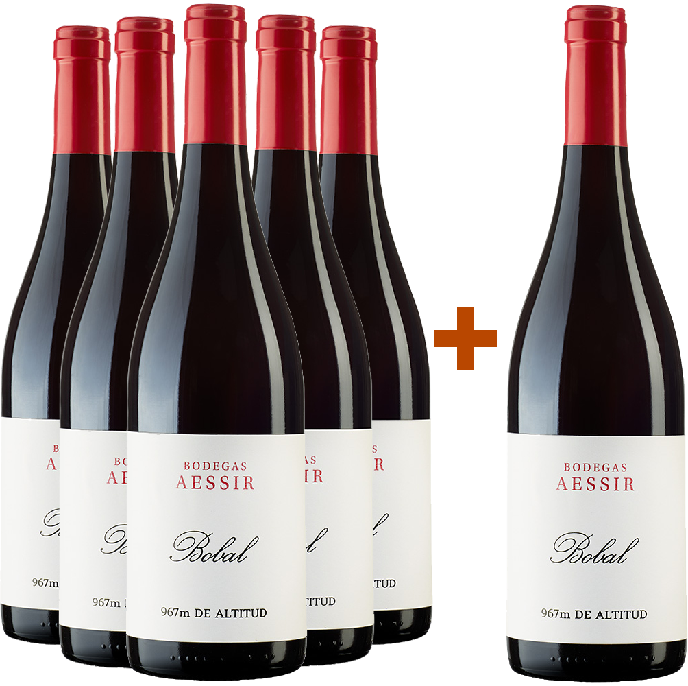 5+1 Aktionspaket Bobal Tinto BIO