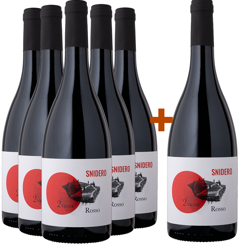 5+1 Paket Rosso Due Vigne Selezione BIO BIO