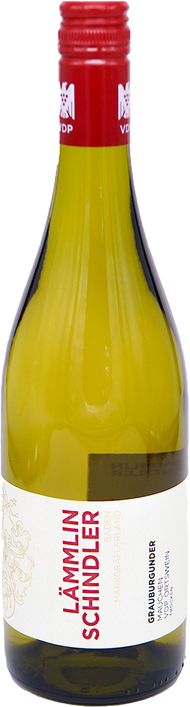 2024 Mauchen Grauburgunder Ortstwein BIO