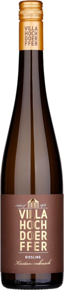2024 Riesling "Birkweiler Kastanienbusch"