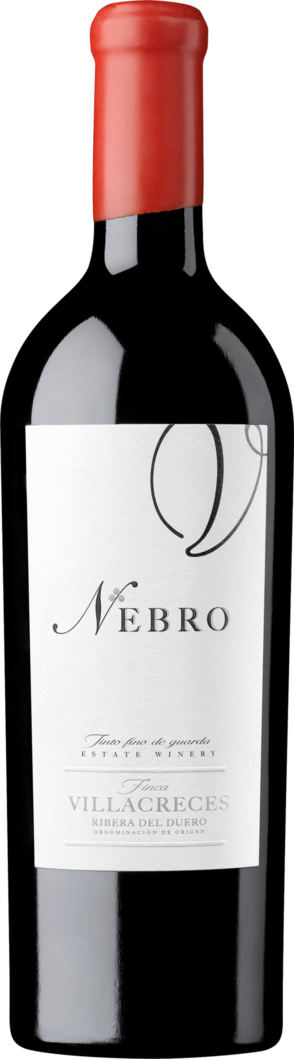 2021 Nebro