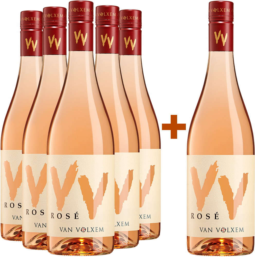 5+1 VV Rosé