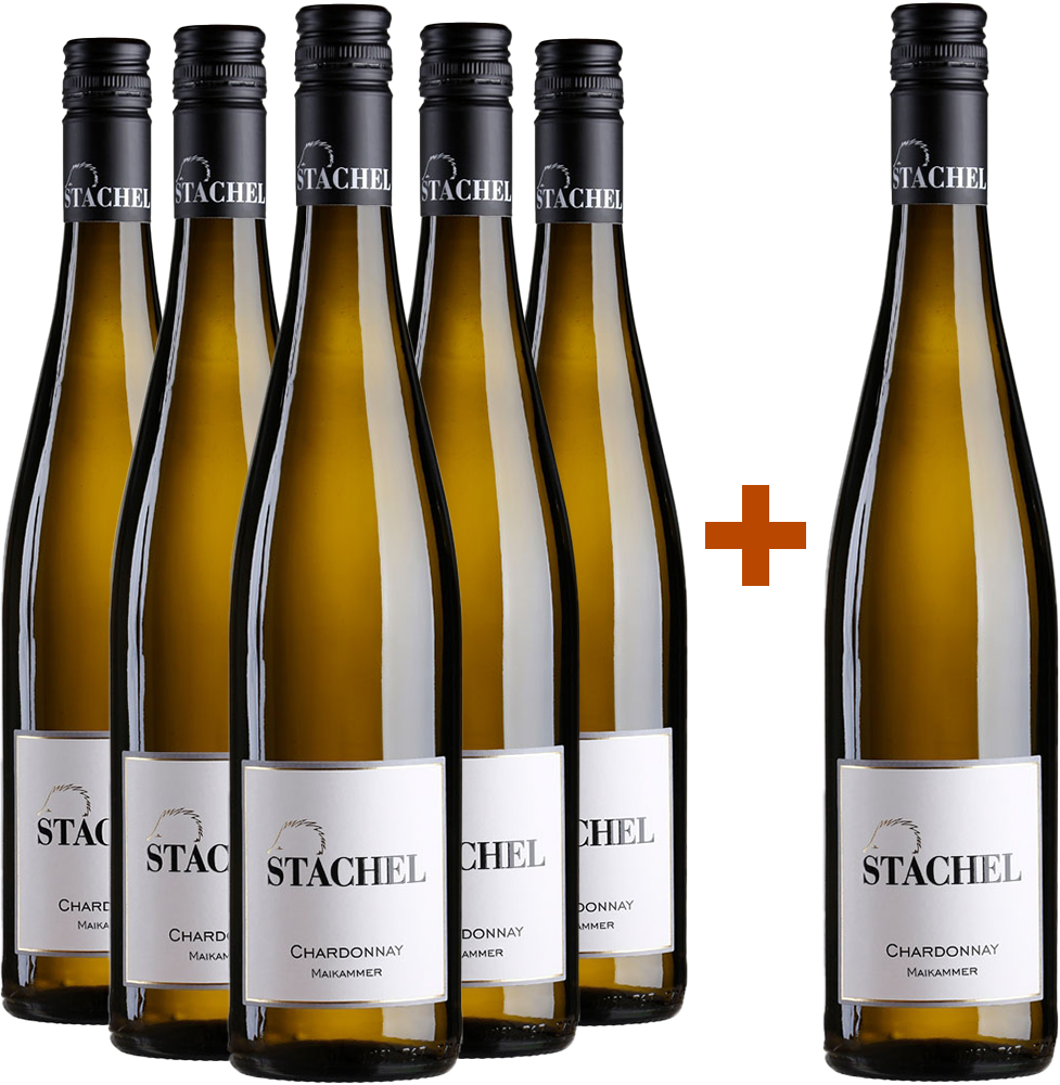 5+1 Paket Chardonnay Maikammer trocken