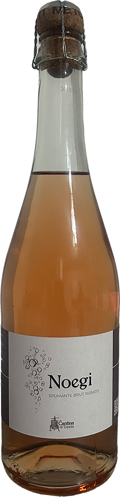 Noegi Merlot